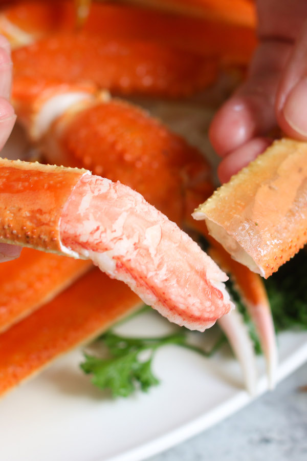 Snow crab