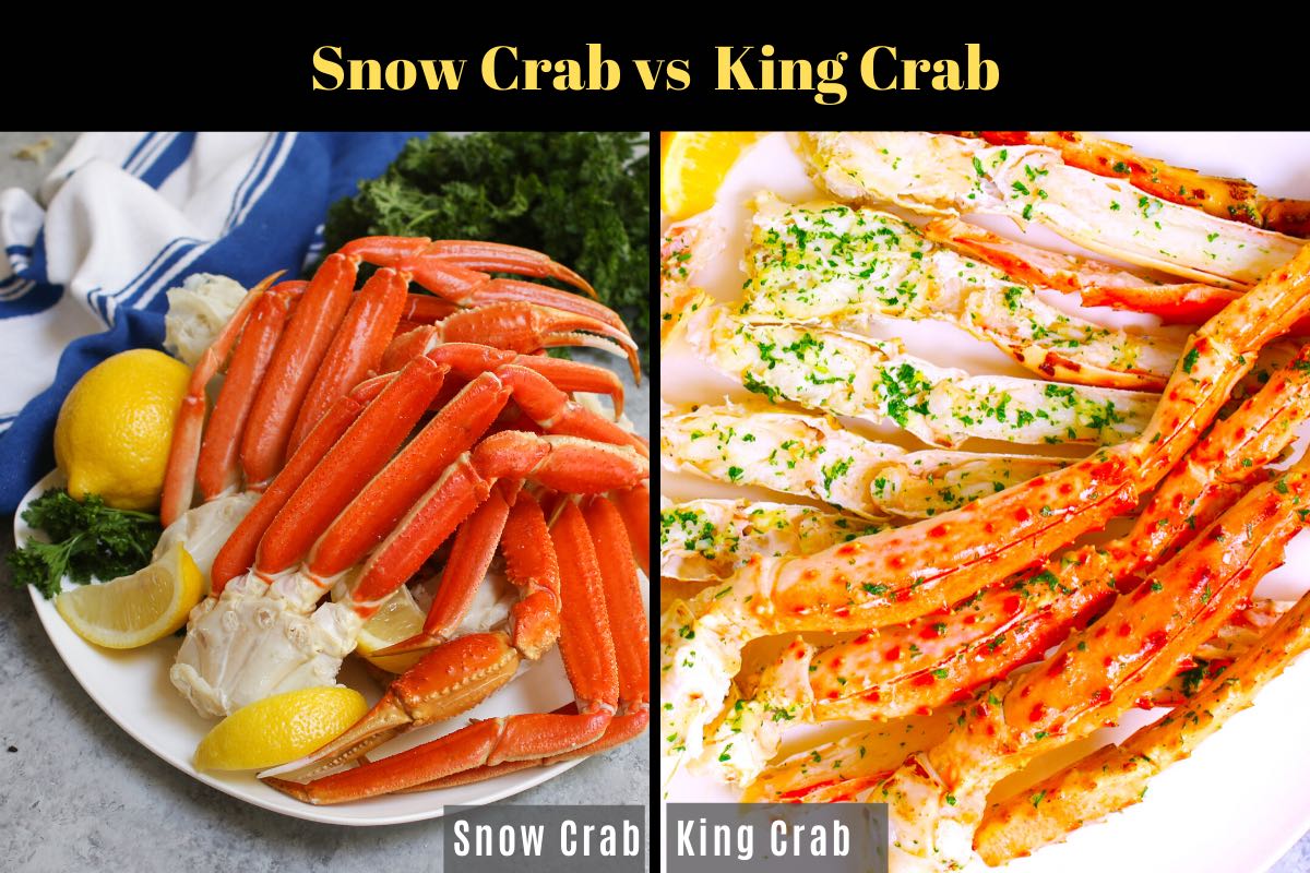 Snow Crab Legs Vs King Crab Legs