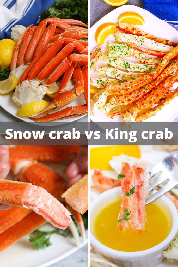 Snow Crab vs King Crab – explore the differences between the two popular crabs! Whether you’re ordering in a restaurant or cook your own at home, you’ll find everything you need with this complete guide.