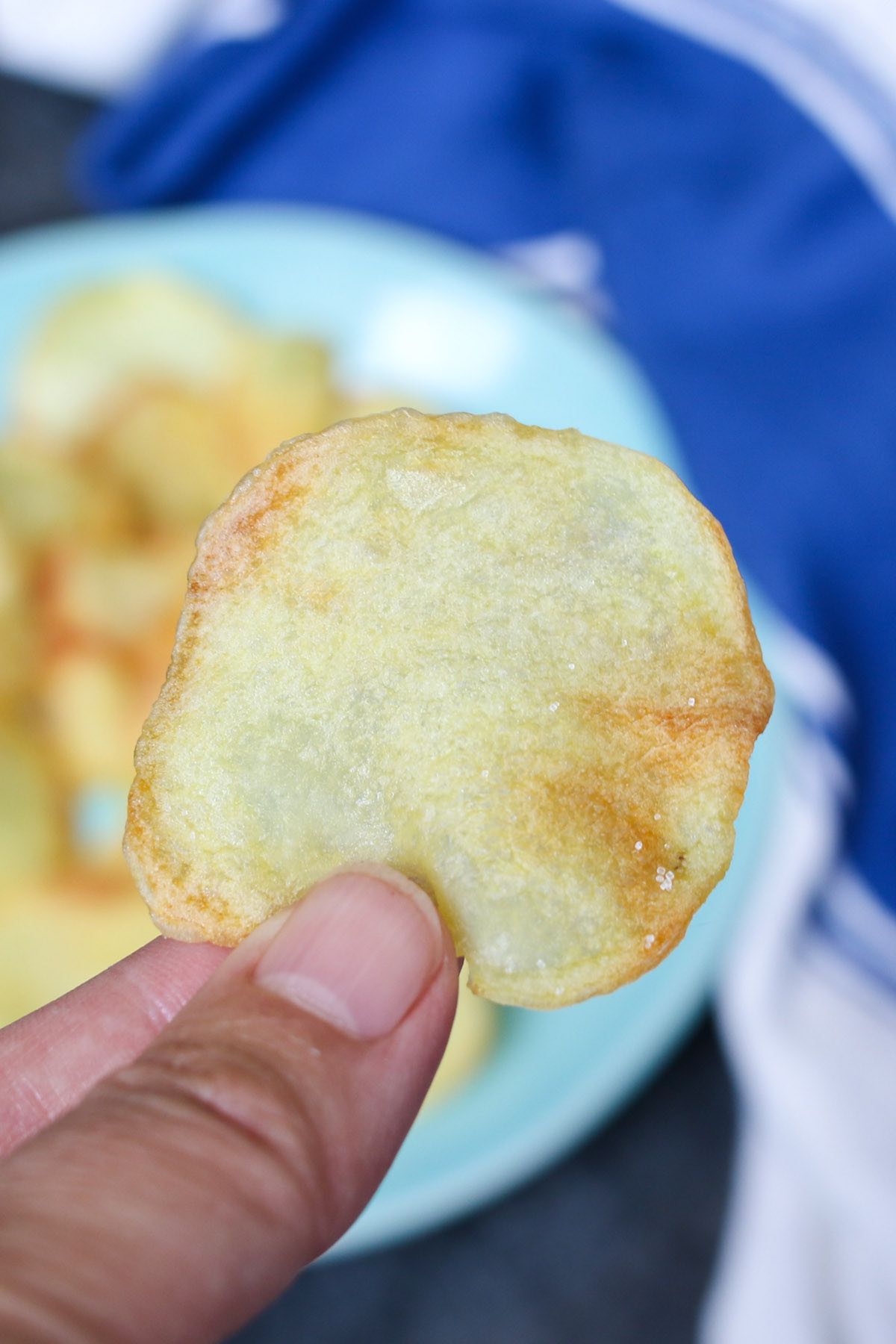 Holding a piece of potato chip, showing the perfect crispy texture.
