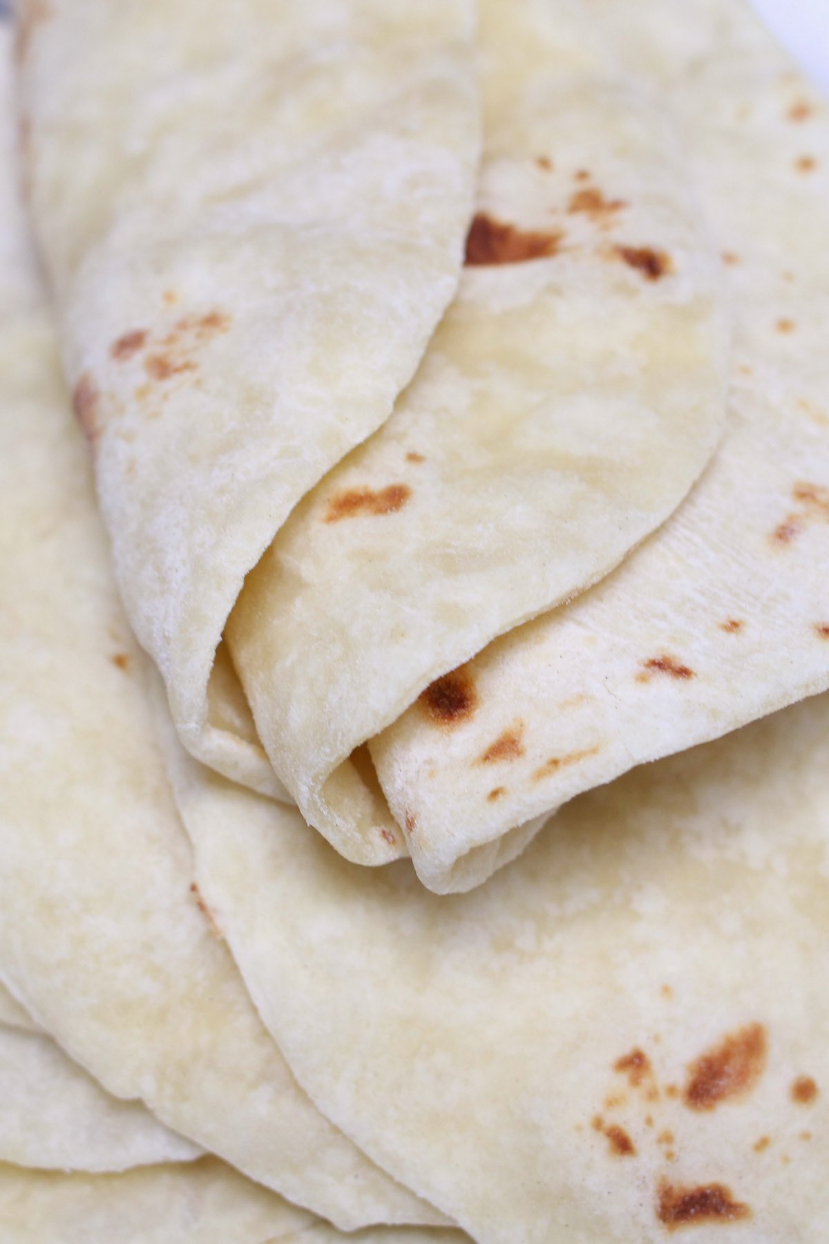 Best Homemade Vegan Flour Tortillas (5 ingredients) Women in the News
