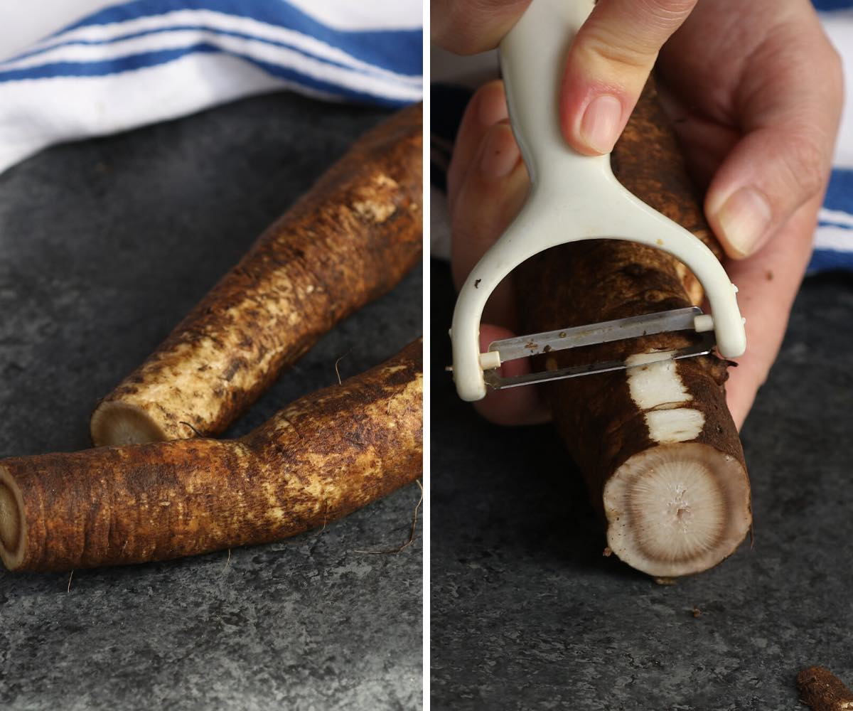 What is Yamagobo and Easy Yamagobo Recipe