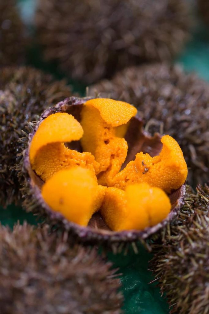 Closeup showing 5 lobes inside of a sea urchin.