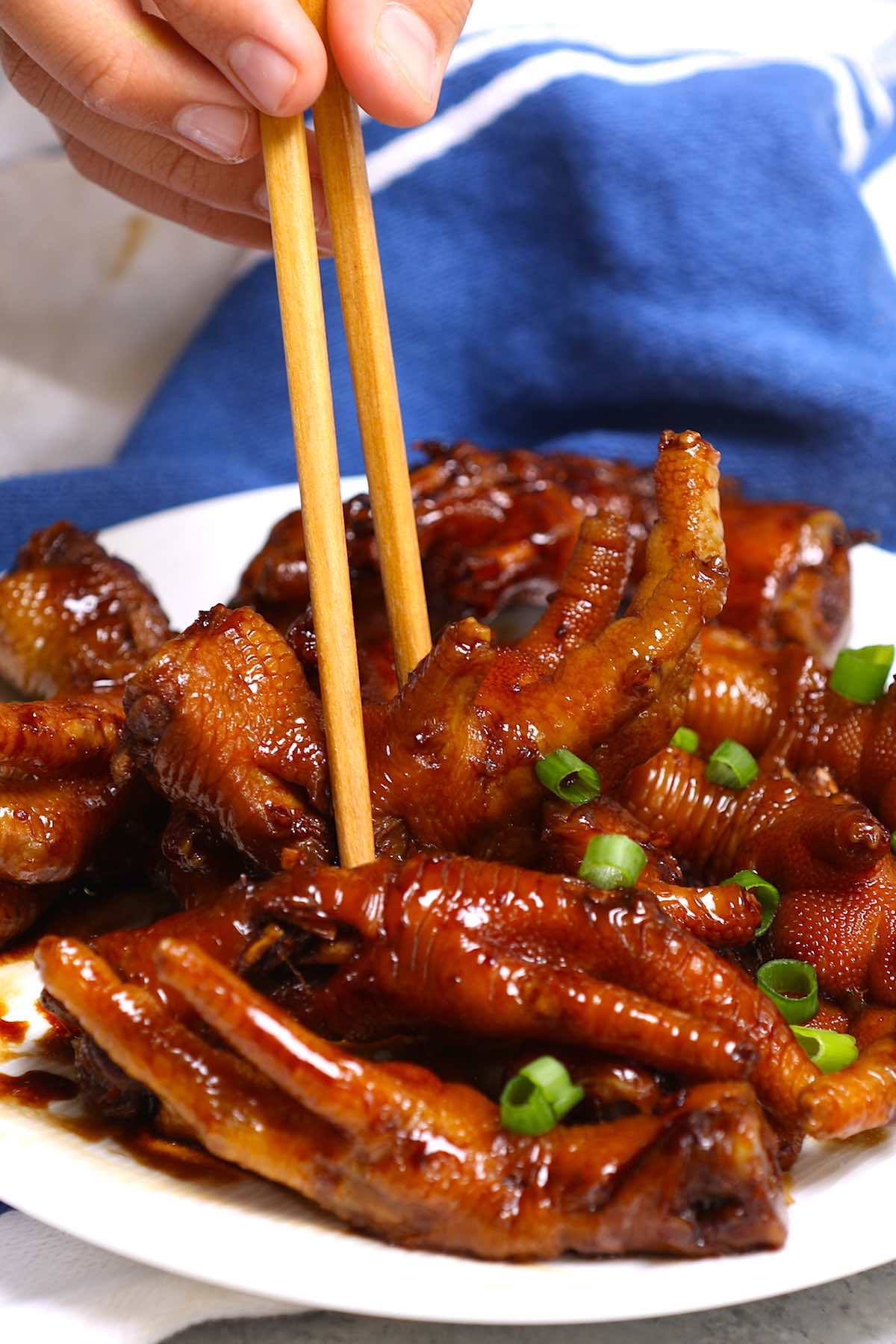 Pressure Cooker Chicken Feet Recipe at Sandra Jarvis blog