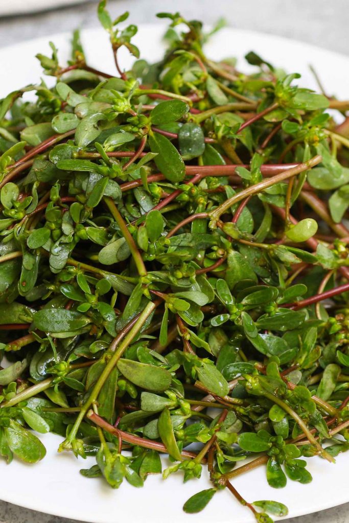 Learn everything about Purslane plant (Portulaca oleracea) including its benefits, flowers, seeds, and purslane recipes. This edible weed is a highly nutritious vegetable that’s good for you, we’ll show you how to make a healthy purslane salad with a step-by-step guide. #purslane #purslaneRecipes #purslaneSalad