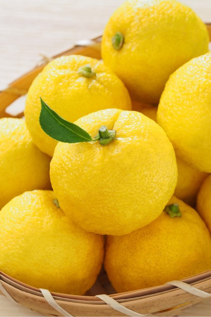 Learn everything about Yuzu including yuzu fruits, health benefits, ways to use it like yuzu kosho, sauce, dressing, juice, and more. This citrus fruit is tart with an amazing aroma, and is widely used in Japanese and other Asian cuisines. #Yuzu #YuzuKosho 