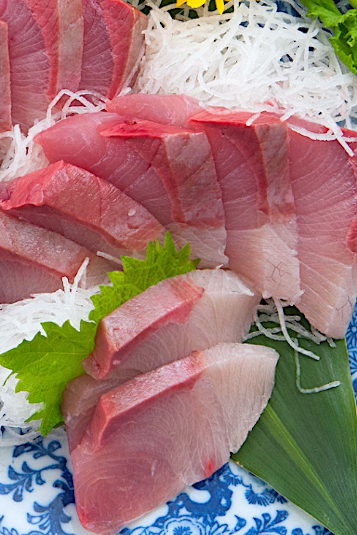 Yellowtail Sashimi lavet med lækker og smøragtig Hamachi fisk! Det er så meget billigere end på de japanske restauranter, og utrolig nemt at lave derhjemme. Jeg vil dele med dig, hvordan du skærer yellowtail til sashimi, og laver både den traditionelle og Nobu new style sashimi. #YellowtailSashimi #HamachiSashimi