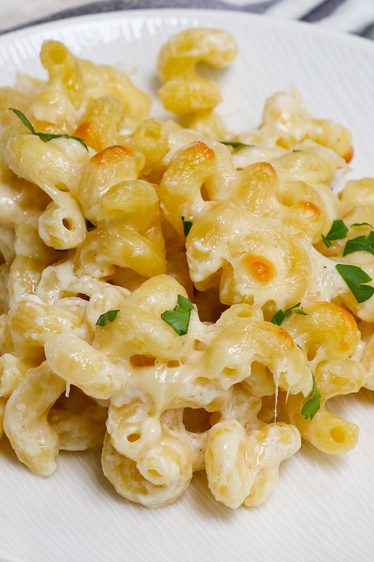 Creamy cavatappi pasta and cheese served on a white plate.