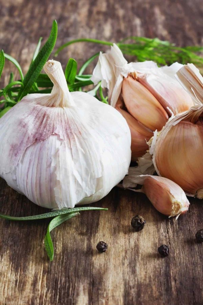 Garlic