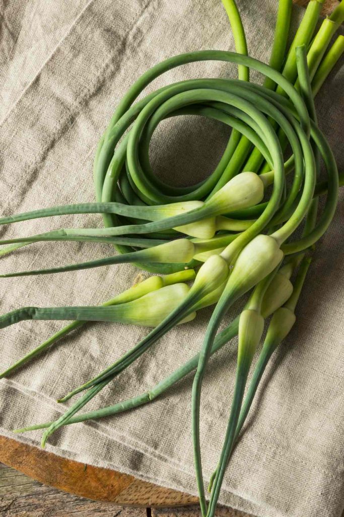 Garlic Scapes