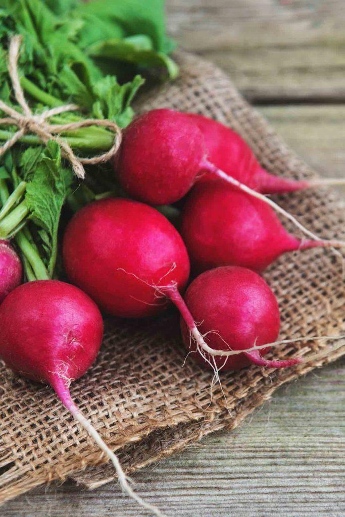 Radish