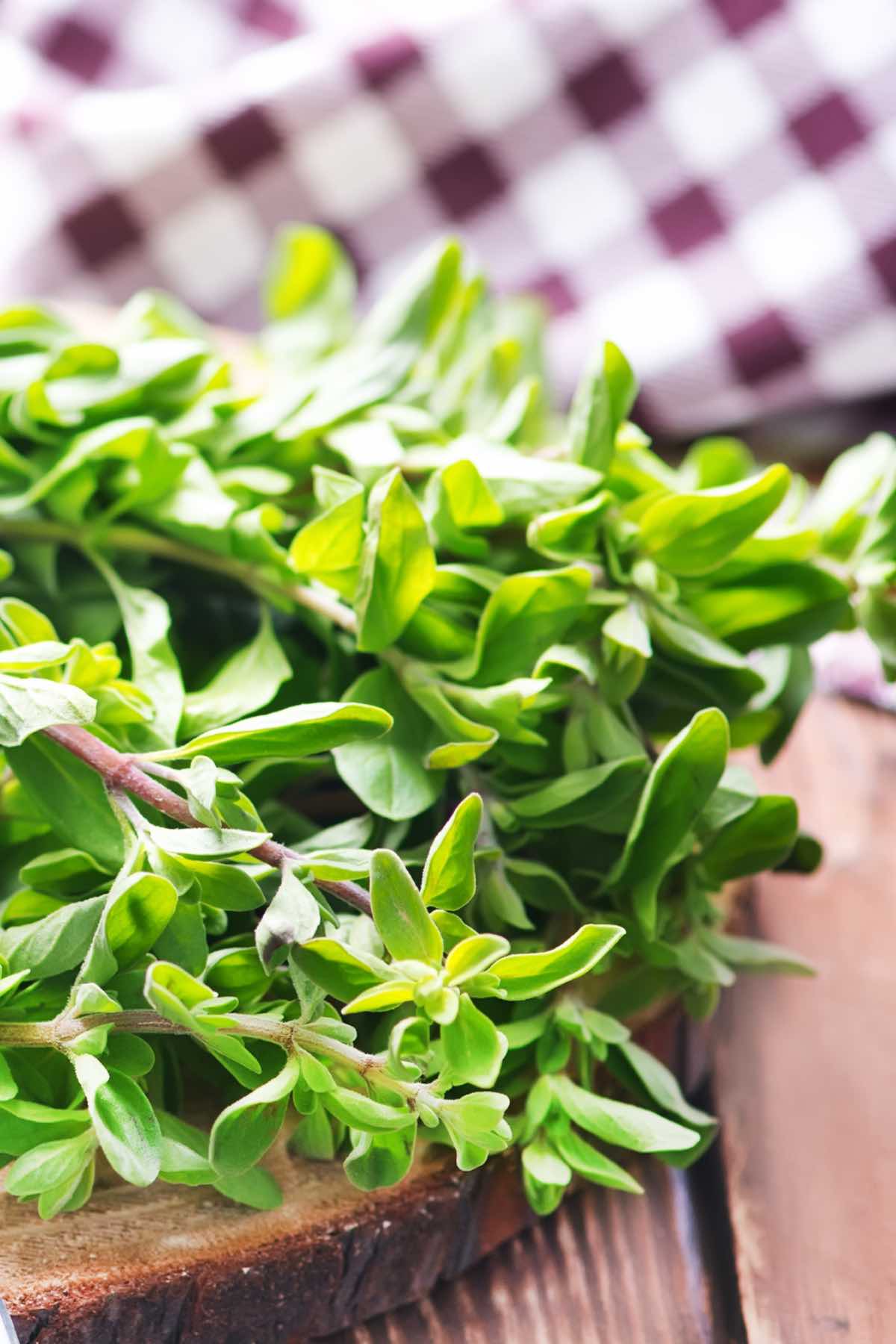 Best Sage Substitutes (8 Alternatives You Can Use from Rosemary to