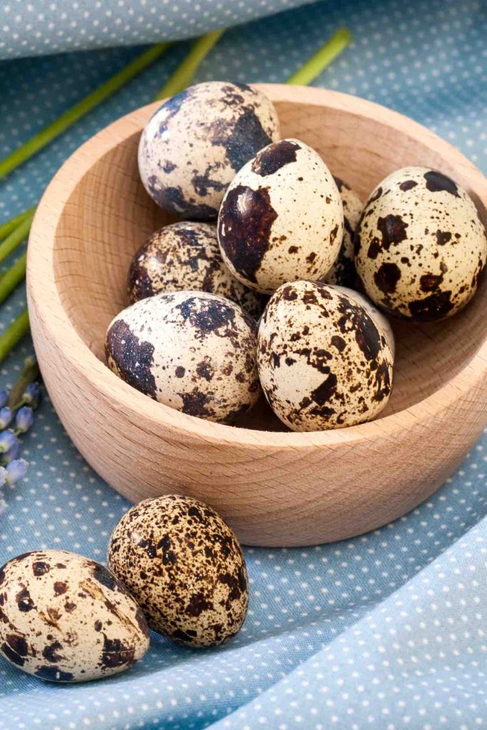 Quail Eggs