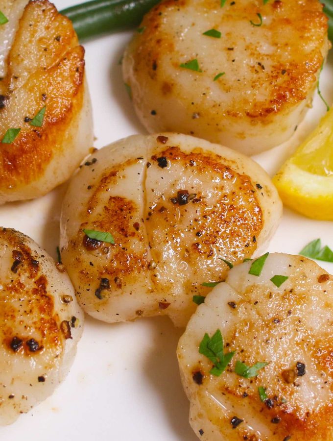 Scallops are gourmet seafood that’s buttery with a mild texture. The unique, slightly sweet flavor has earned them the nickname “the candy of the sea.” Their tender, succulent meat is sure to delight fans of lobster and crab. This expensive seafood is especially delicious in a buttery lemon garlic sauce (recipe below!)