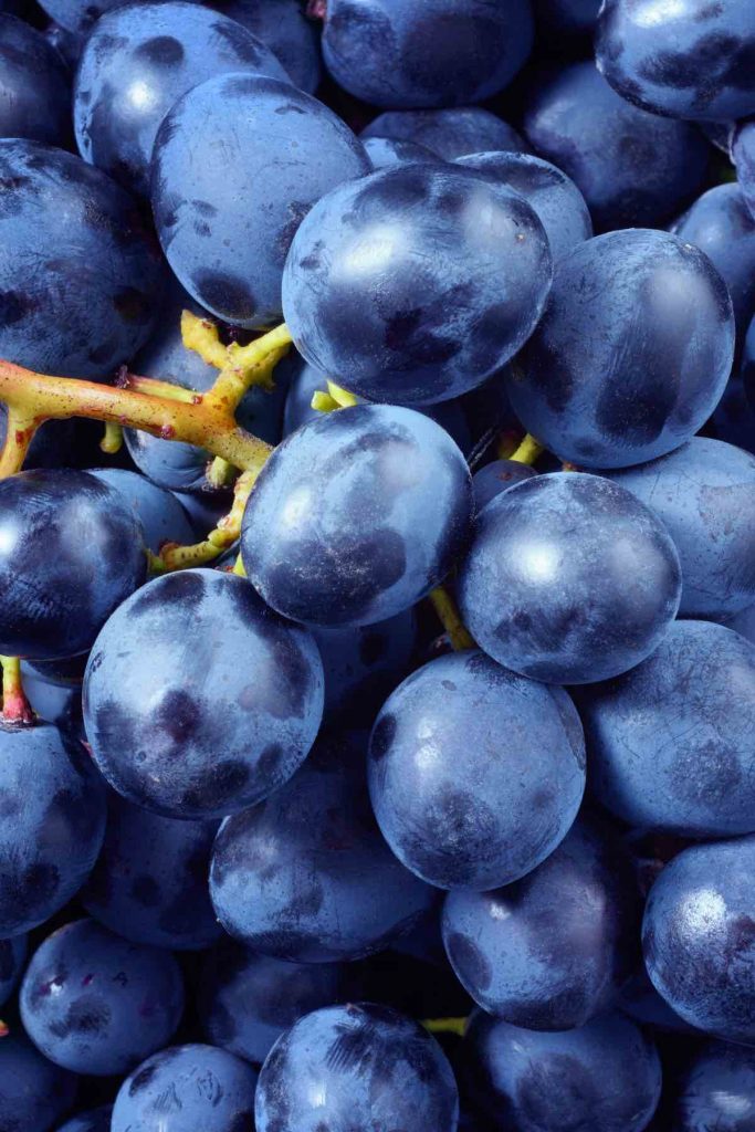 Xinomavro Grapes