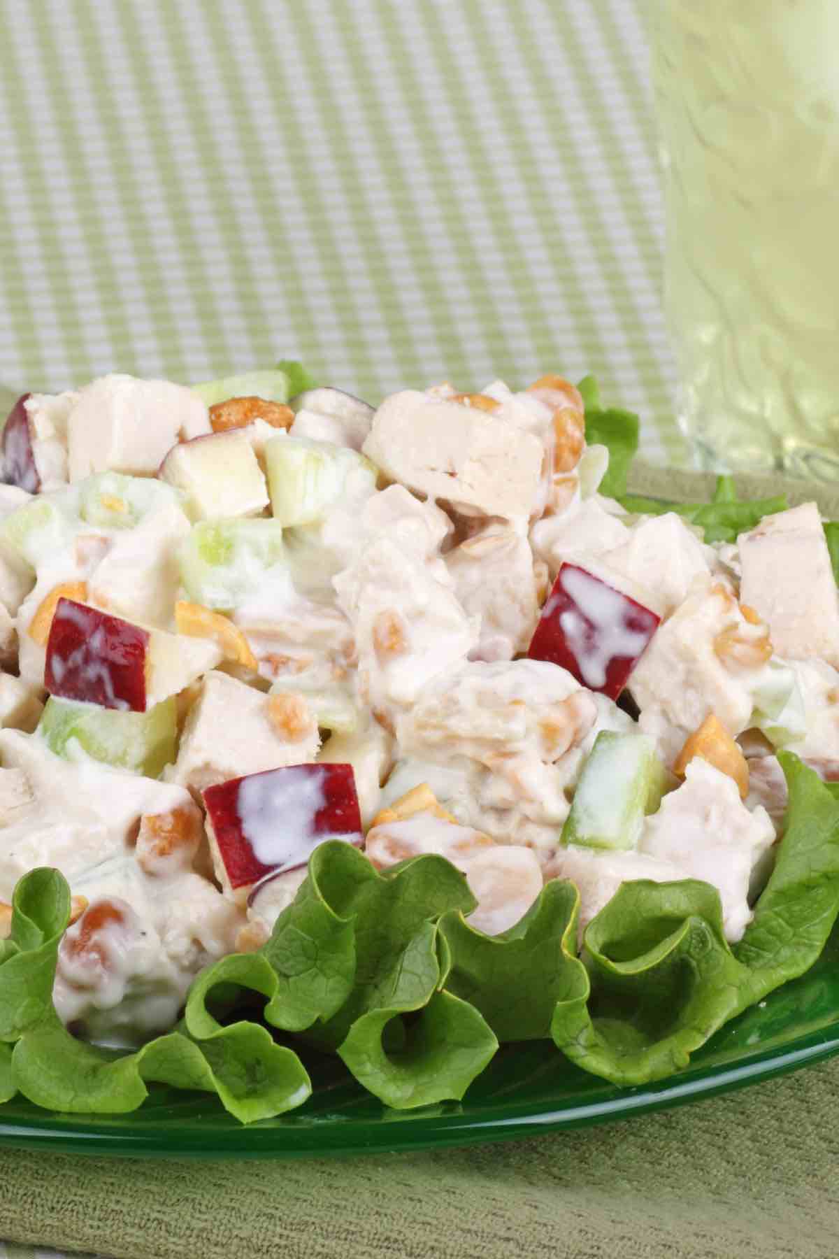 When you have a leftover chicken salad from the picnics or BBQs, you may wonder: Can You Freeze Chicken Salad? This summer salad is a great way to feed many people with few ingredients. But if your large batch doesn’t get eaten, can it be frozen?