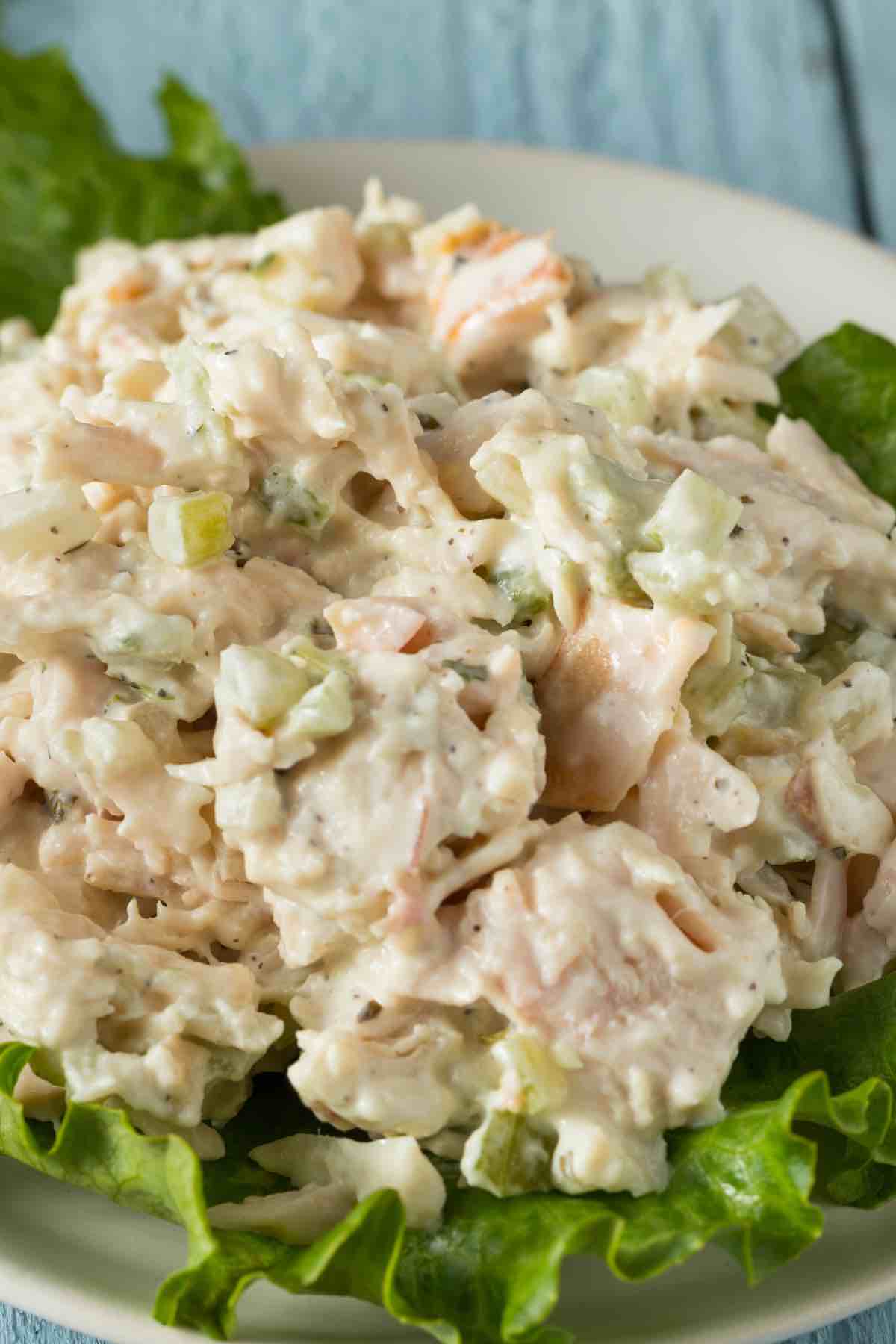 When you have a leftover chicken salad from the picnics or BBQs, you may wonder: Can You Freeze Chicken Salad? This summer salad is a great way to feed many people with few ingredients. But if your large batch doesn’t get eaten, can it be frozen?