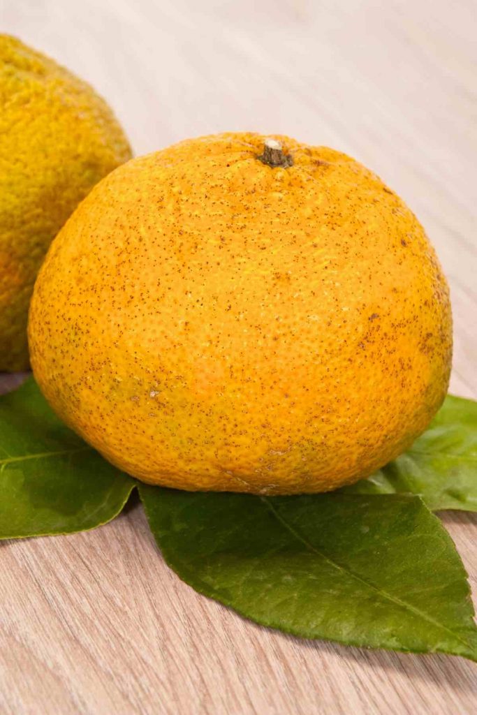 Ugli Fruit