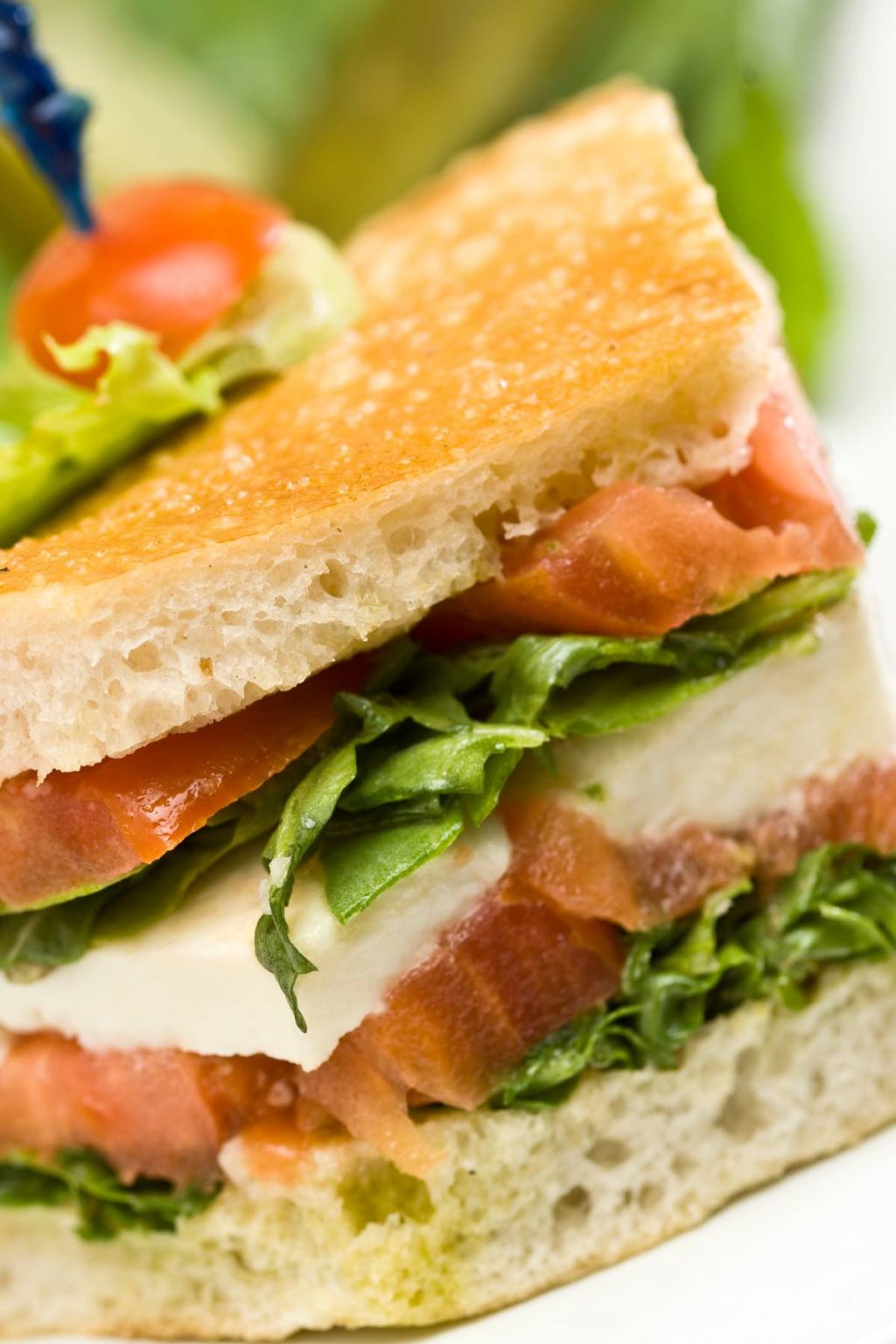 13 Best Panini Recipes That Are Easy to Make at Home - IzzyCooking