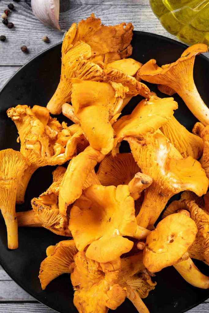 Chanterelle Mushrooms