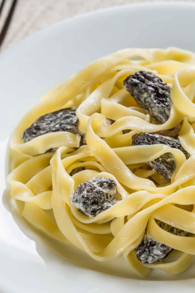 Morel Mushroom pasta