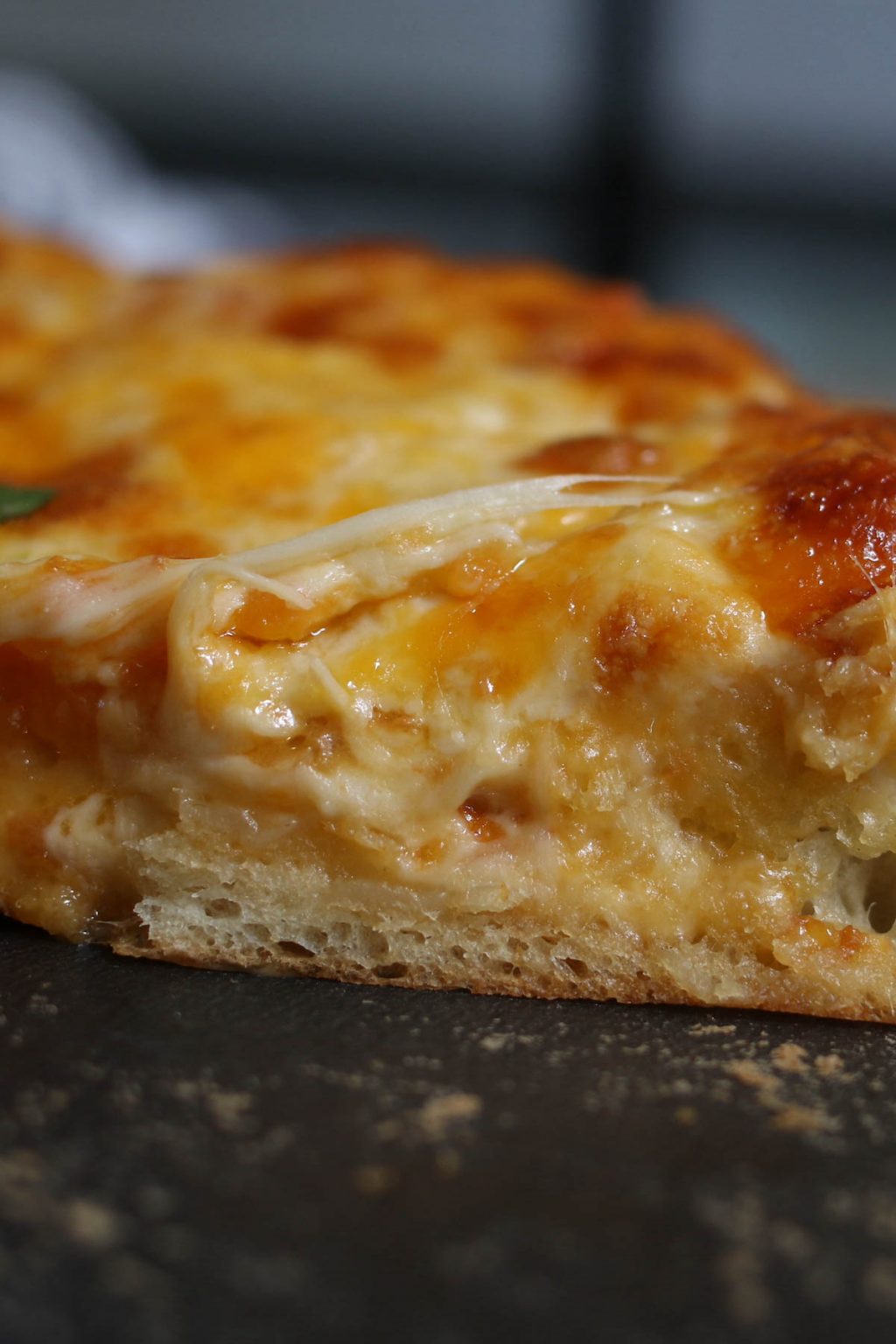 Reheat Pizza in the Oven (Temperature and Time for Reheating Leftover