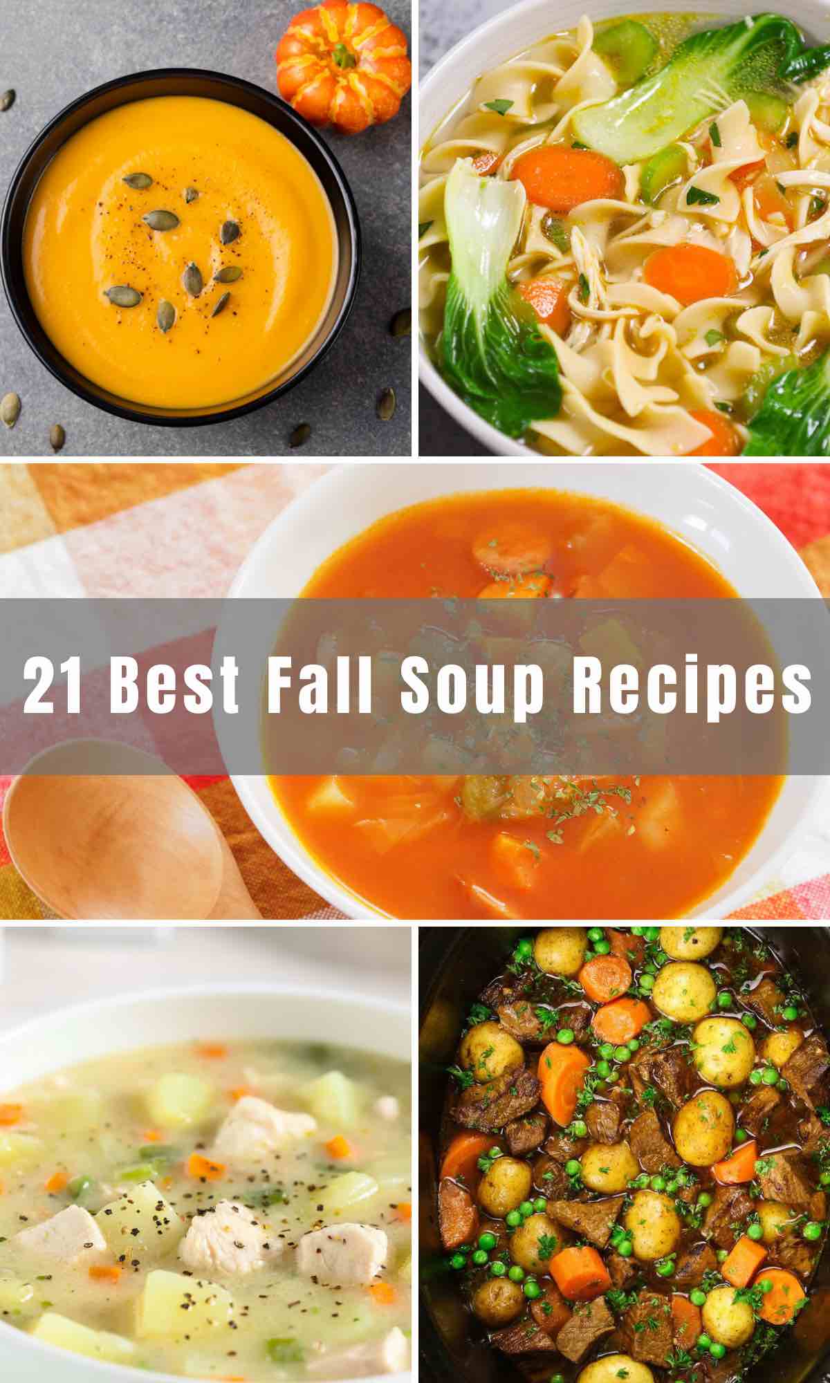 We are excited to bring you 21 of the best Fall Soup Recipes that are delicious, cozy, and comforting. From pumpkin soup to chicken noodle soup and beef stew, get cooking and enjoy these warm and flavorful soup recipes!