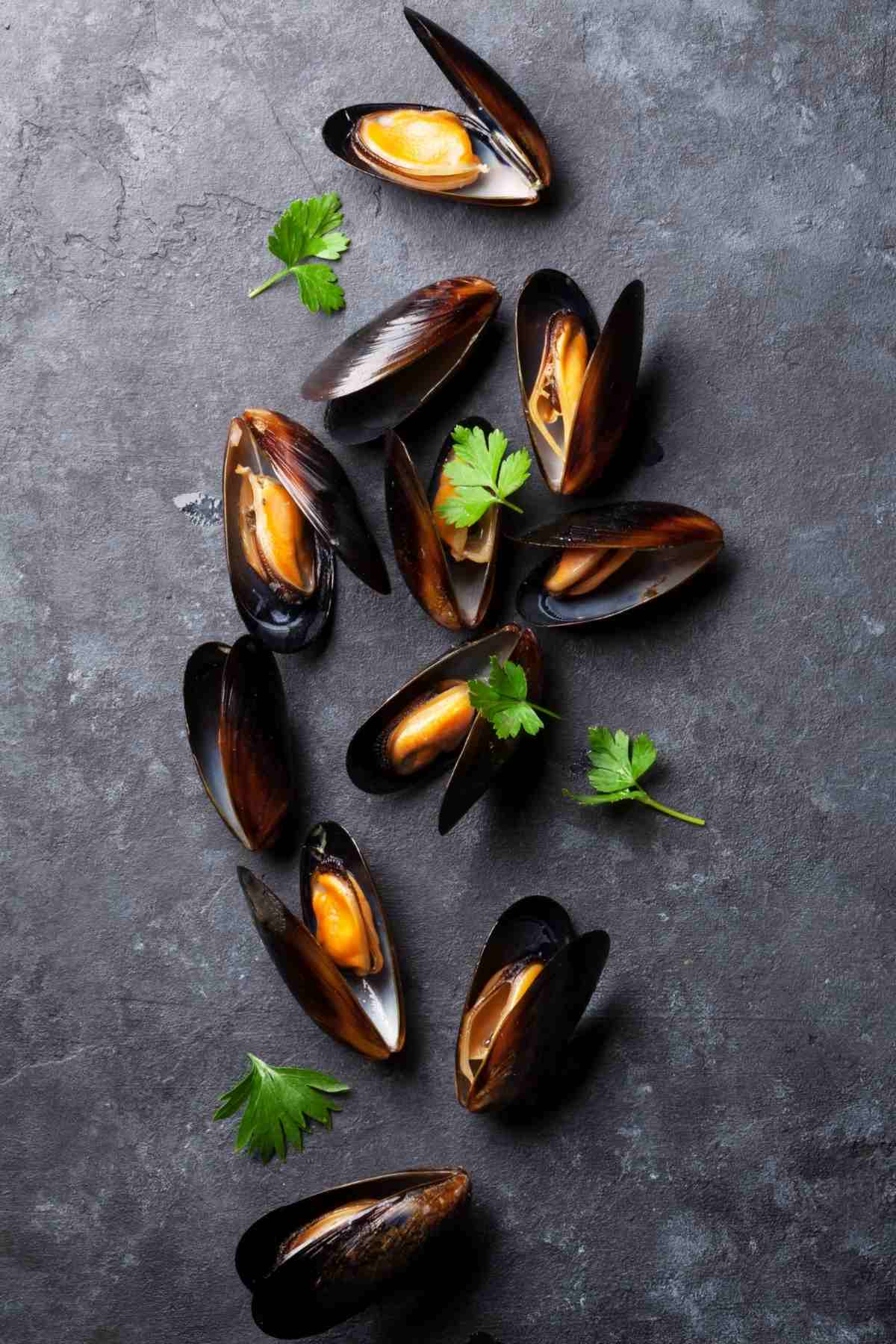 green mussels