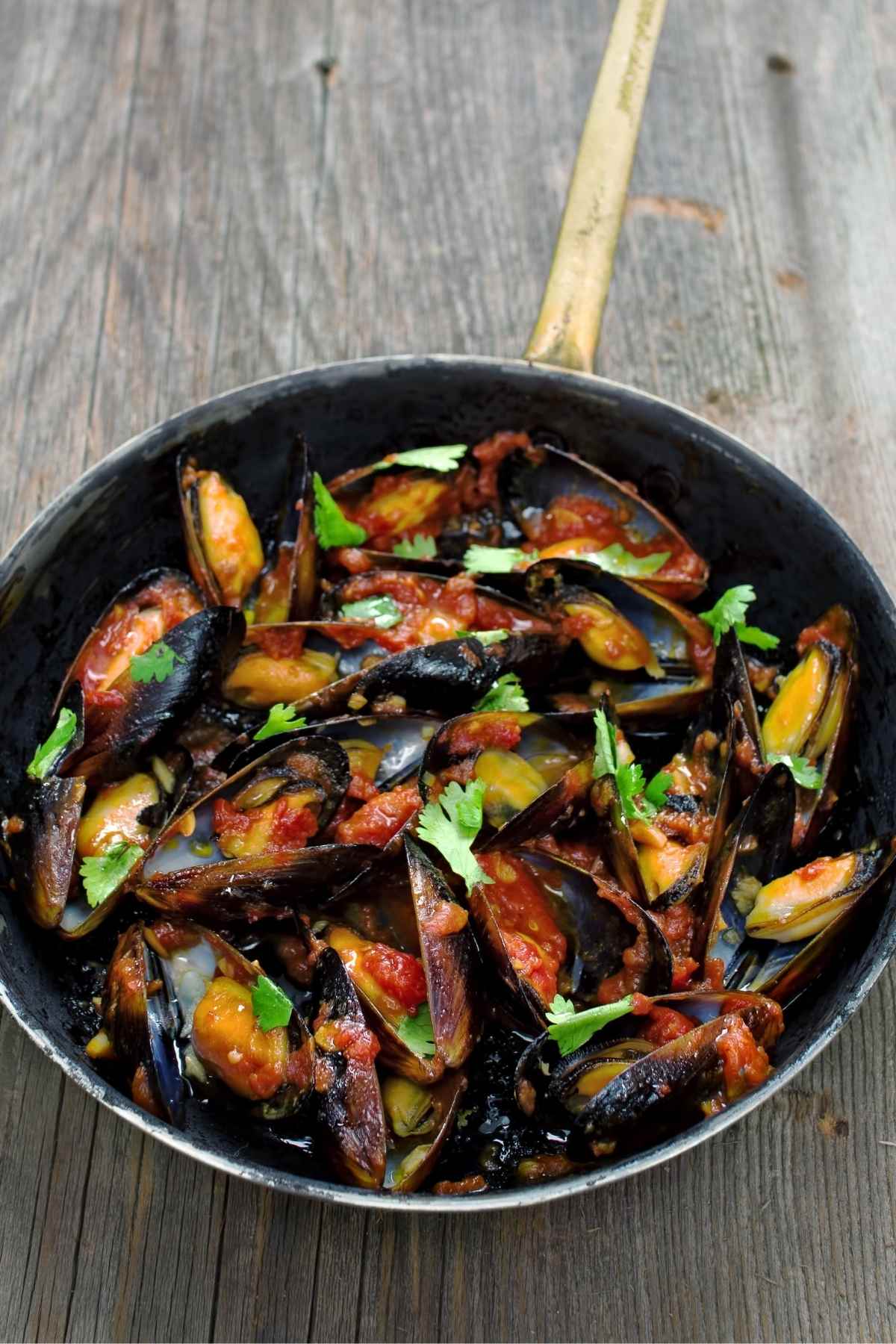 Black mussels are a popular dish for seafood lovers. Known for their health benefits, ease of cooking, and flavor, it’s no wonder these delicious morsels have grown in popularity! Below you will find tips on how to prepare mussels, and the difference between black mussels and green mussels.