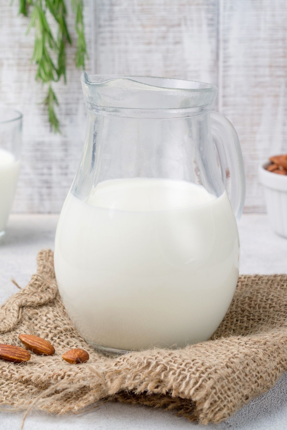 Dairy-free Milk