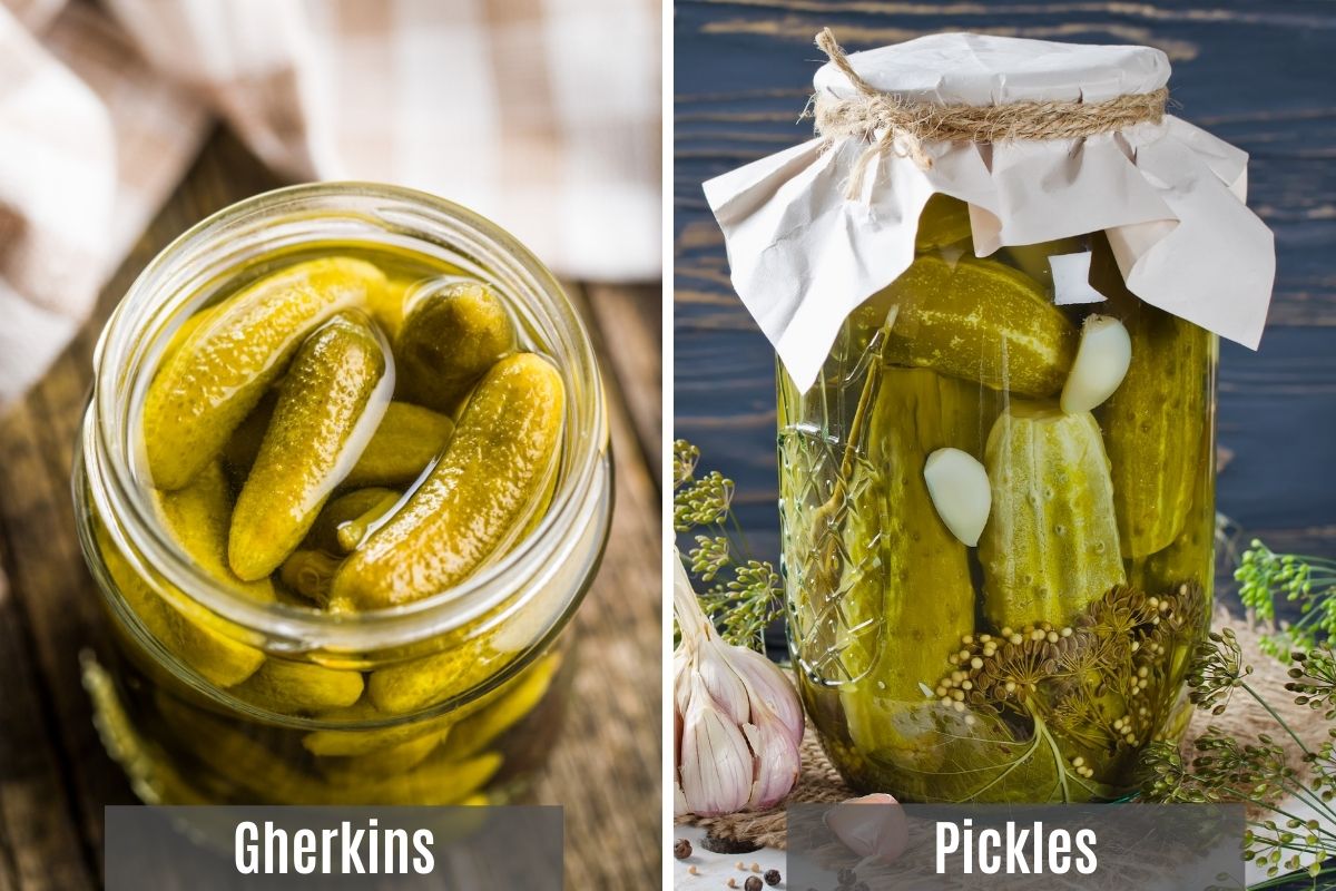 Gherkin vs Pickle (Differences, Tastes, Nutrition, Benefits and More)
