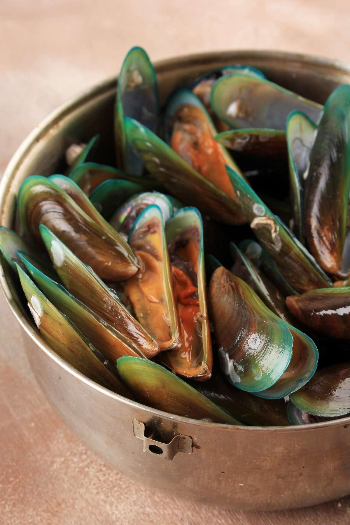 green mussels