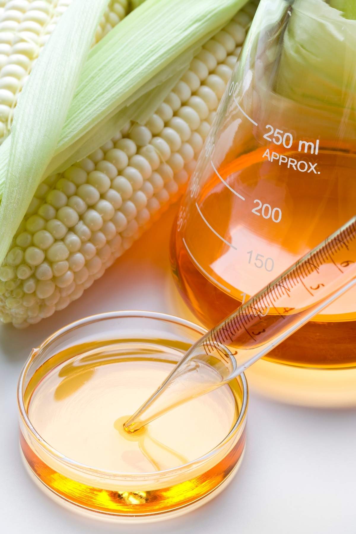 12 Best Molasses Substitutes IzzyCooking