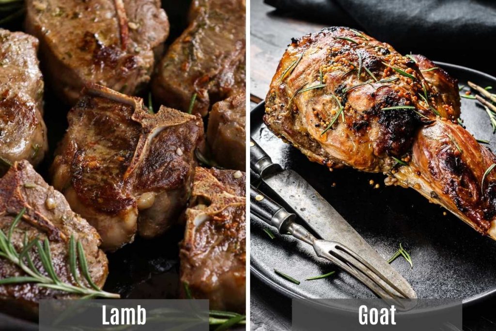 Popular in rich stews and curries, both lamb and goat are flavorful meats. Both can be considered gamey but do have different flavors. Today we’re taking a closer look at these meats, including their similarities and differences, and the best ways to prepare them.