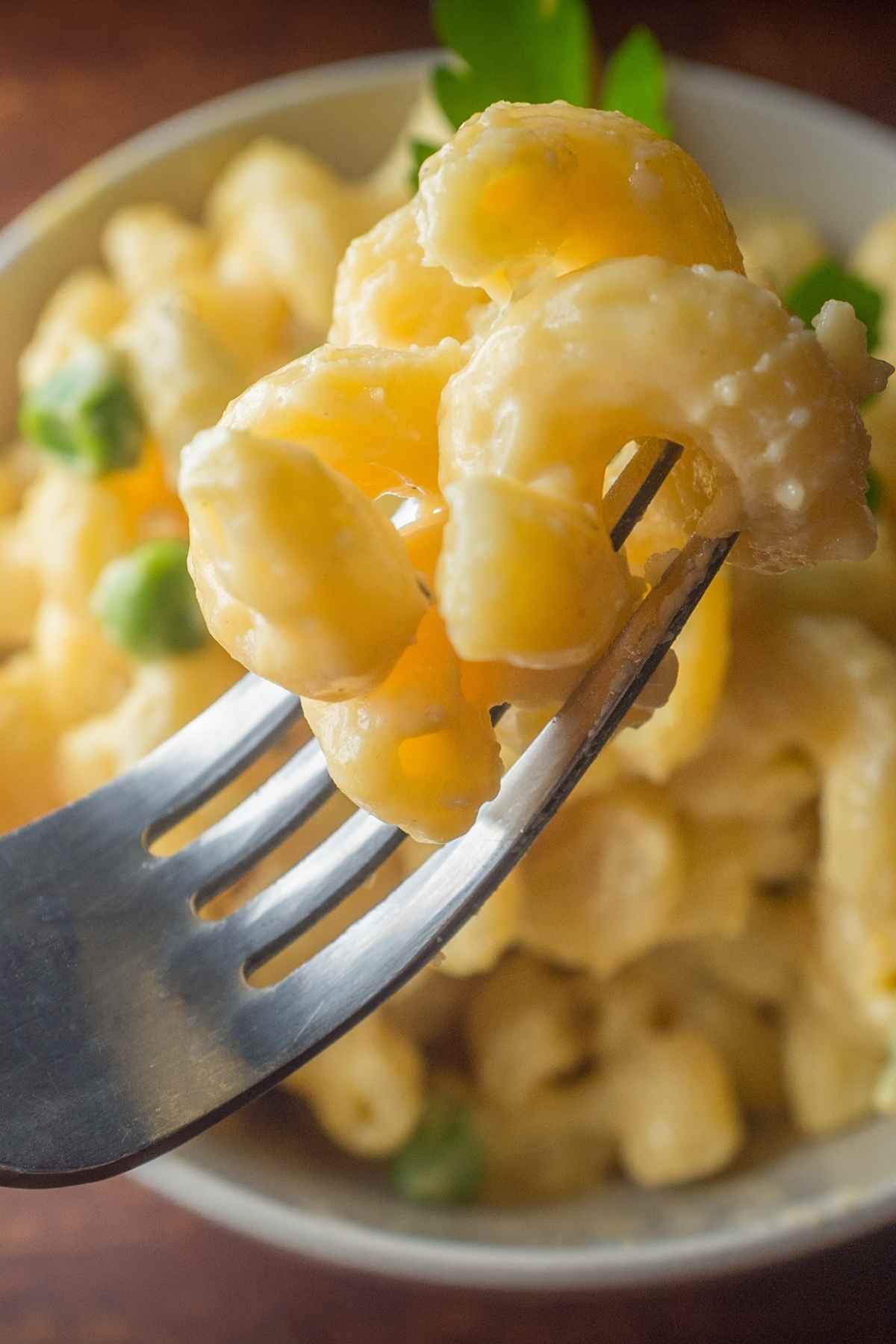 If you’re looking for a meal to treat yourself or someone else, this dish should do the trick. Truffle Mac and Cheese is like nothing you’ve ever tasted! It’s perfect for special occasions and celebrations, or a cozy night at home.