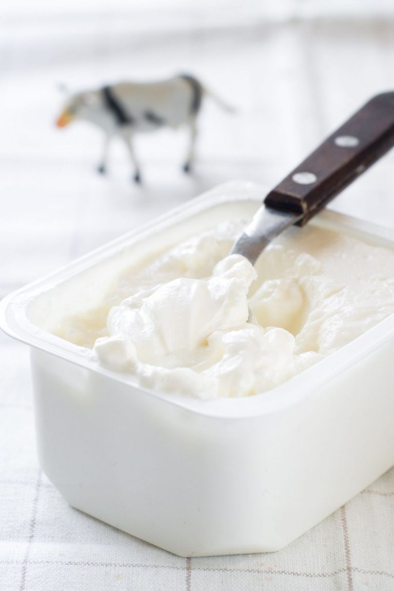 13 Best Best Substitute for Ricotta Cheese (in Lasagna, Gnocchi, and Baked Ziti) IzzyCooking