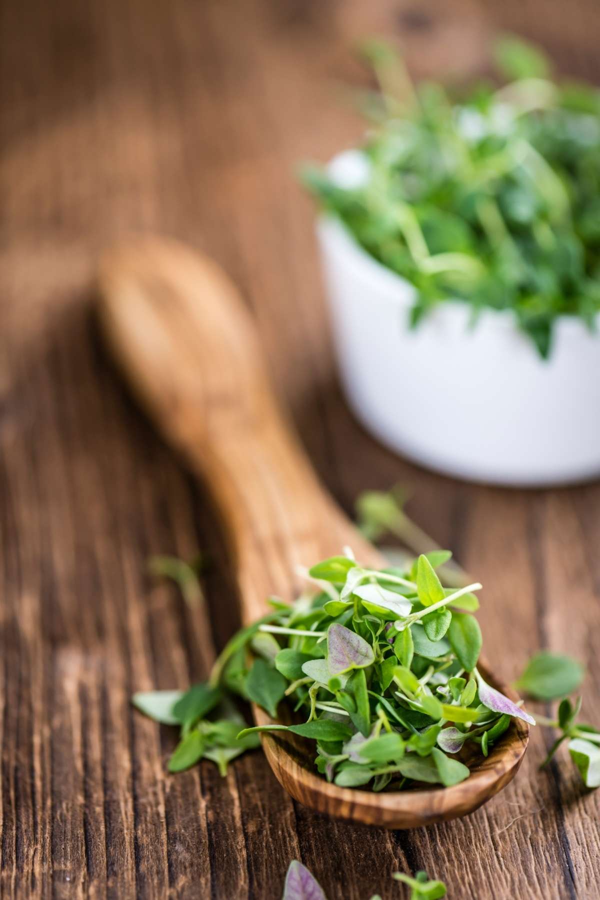 Prized for its savory flavor, thyme is an herb that is often used in soups, stews, and casseroles. It can be used fresh, or dried. In today’s post we’re taking a closer look at this flavorful herb, including its taste, fresh versus dried thyme, and how to properly store it.