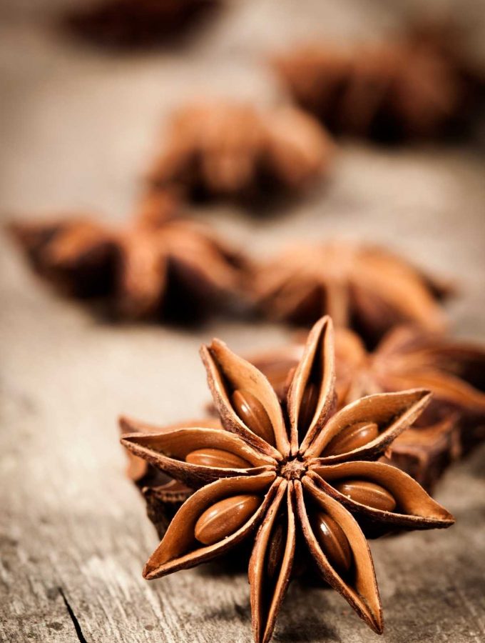 If you suddenly realize that you’re all out of star anise to make your perfect savory dish, you need to find the right star anise substitutes! But it’s hard to tell what will be your best bet to replace star anise in your favorite recipes.