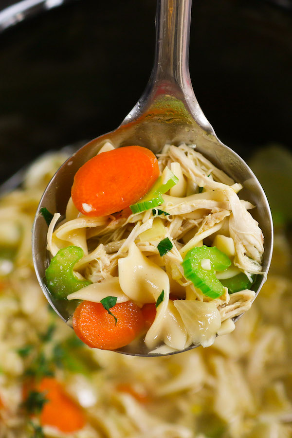 Chicken thigh soup with noodles and vegetables in a white bowl with a golden herby broth