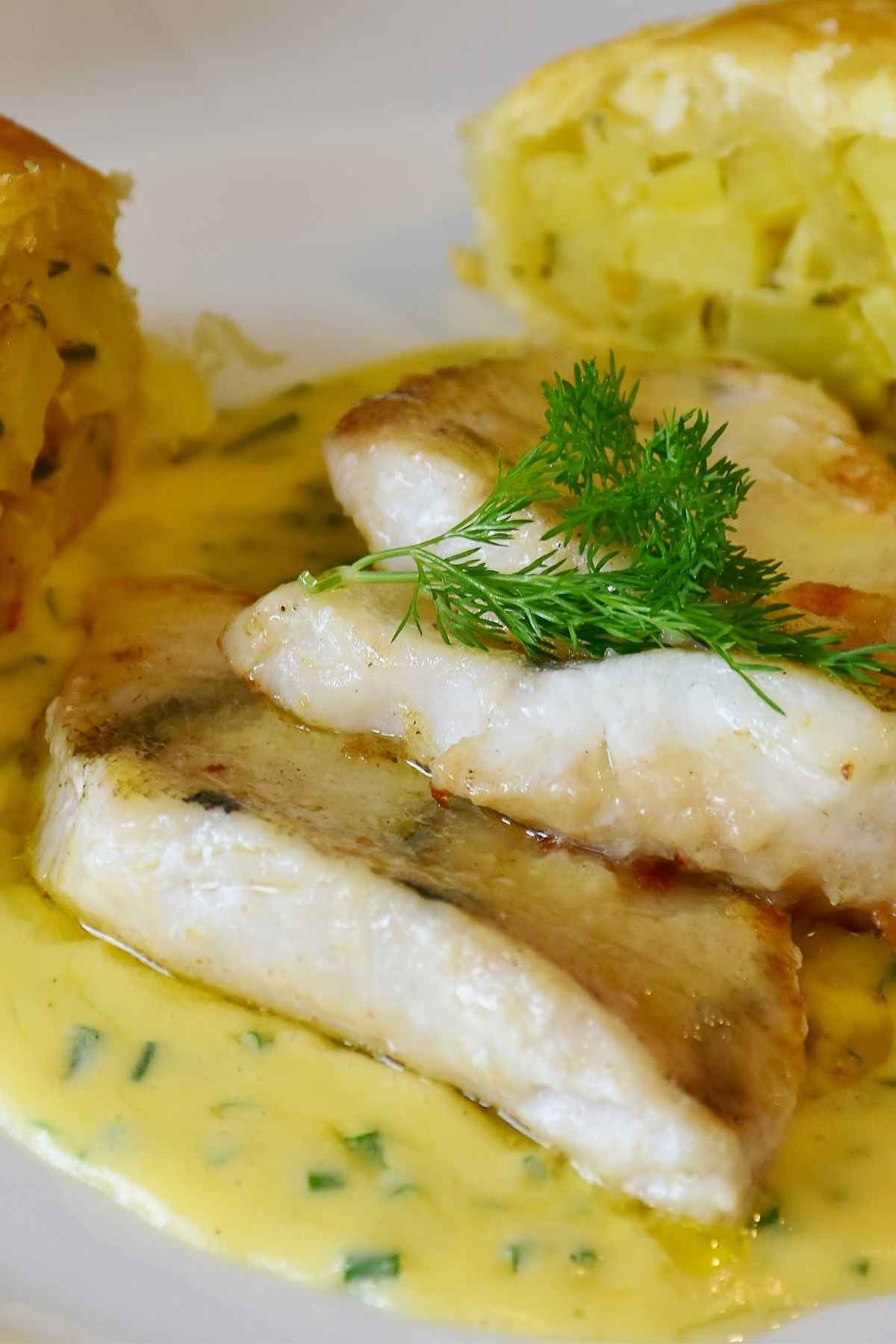 This Hollandaise Fish is creamy, healthy, and delicious. It’s a great option when you need to get the dinner on the table in a hurry. Flakey white fish is baked to perfection and served with a tasty hollandaise sauce. It takes just 20 minutes to make and would be a great addition to a busy weeknight meal.