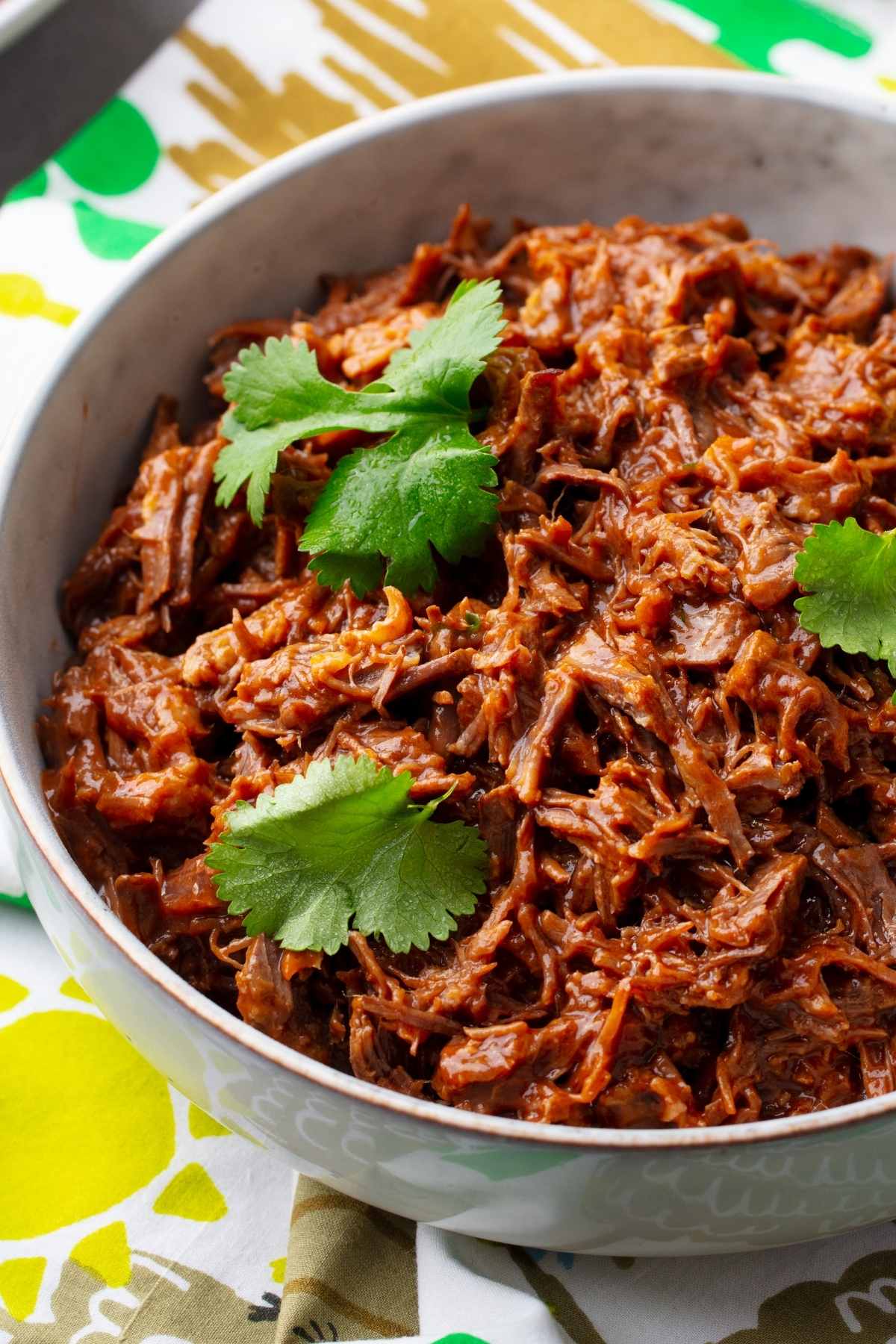 If you’re a fan of shredded beef, you’ll want to give this Mexican Shredded Beef recipe a try! Also called Machacha, it is full of delicious Mexican flavor and would be the perfect dish to feed a crowd on game day!