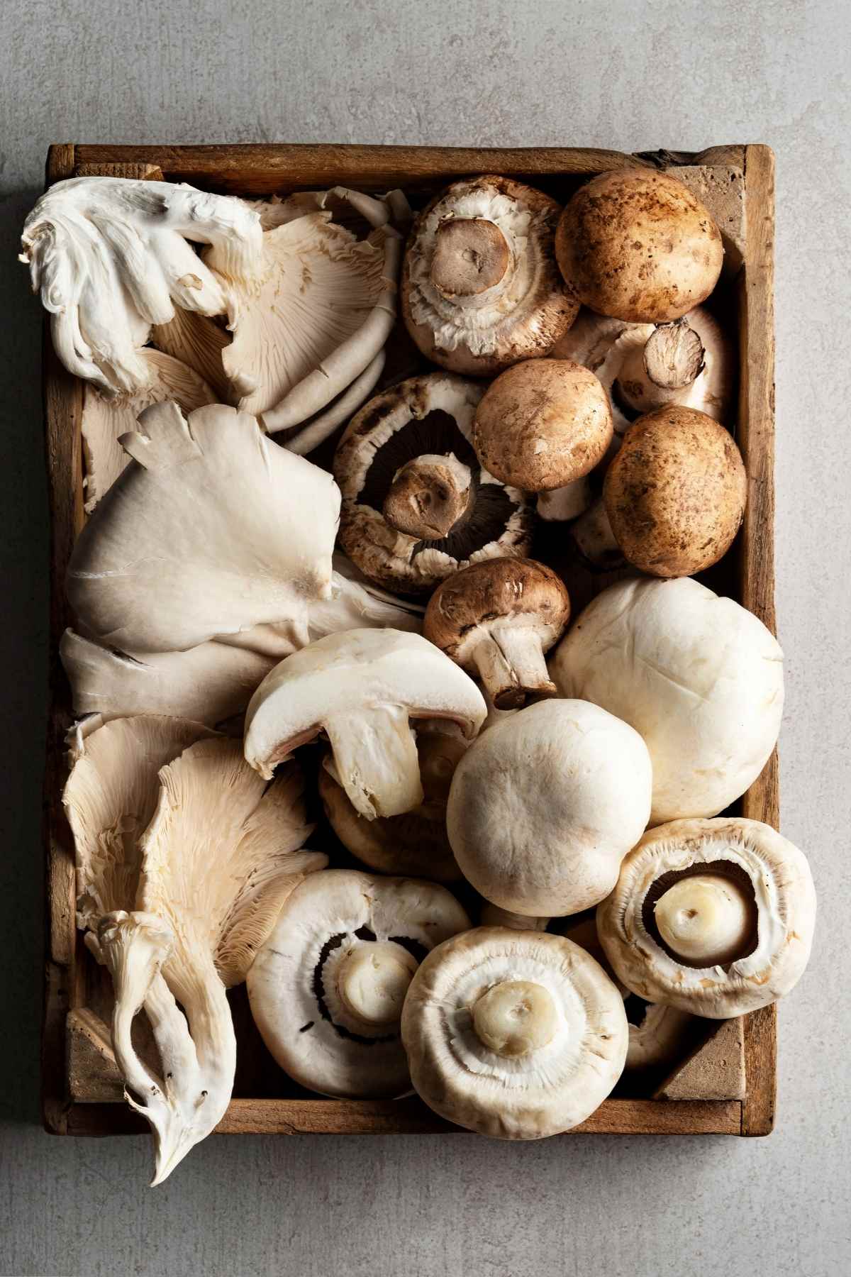 Mushrooms are a delicious addition to dishes but they can spoil quickly. In this post we’re taking a closer look at mushrooms, and how to tell if they’ve gone bad.