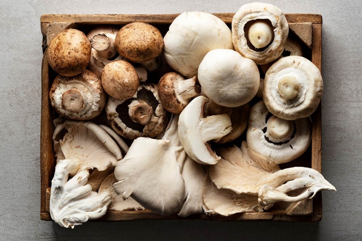 How to Tell If Mushrooms are Bad