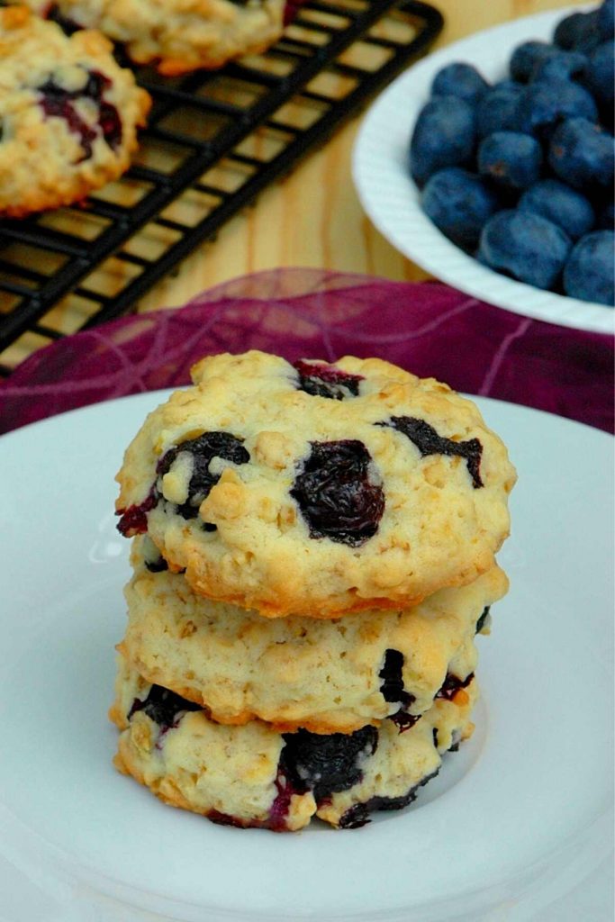 Blueberry Yogurt Cookies