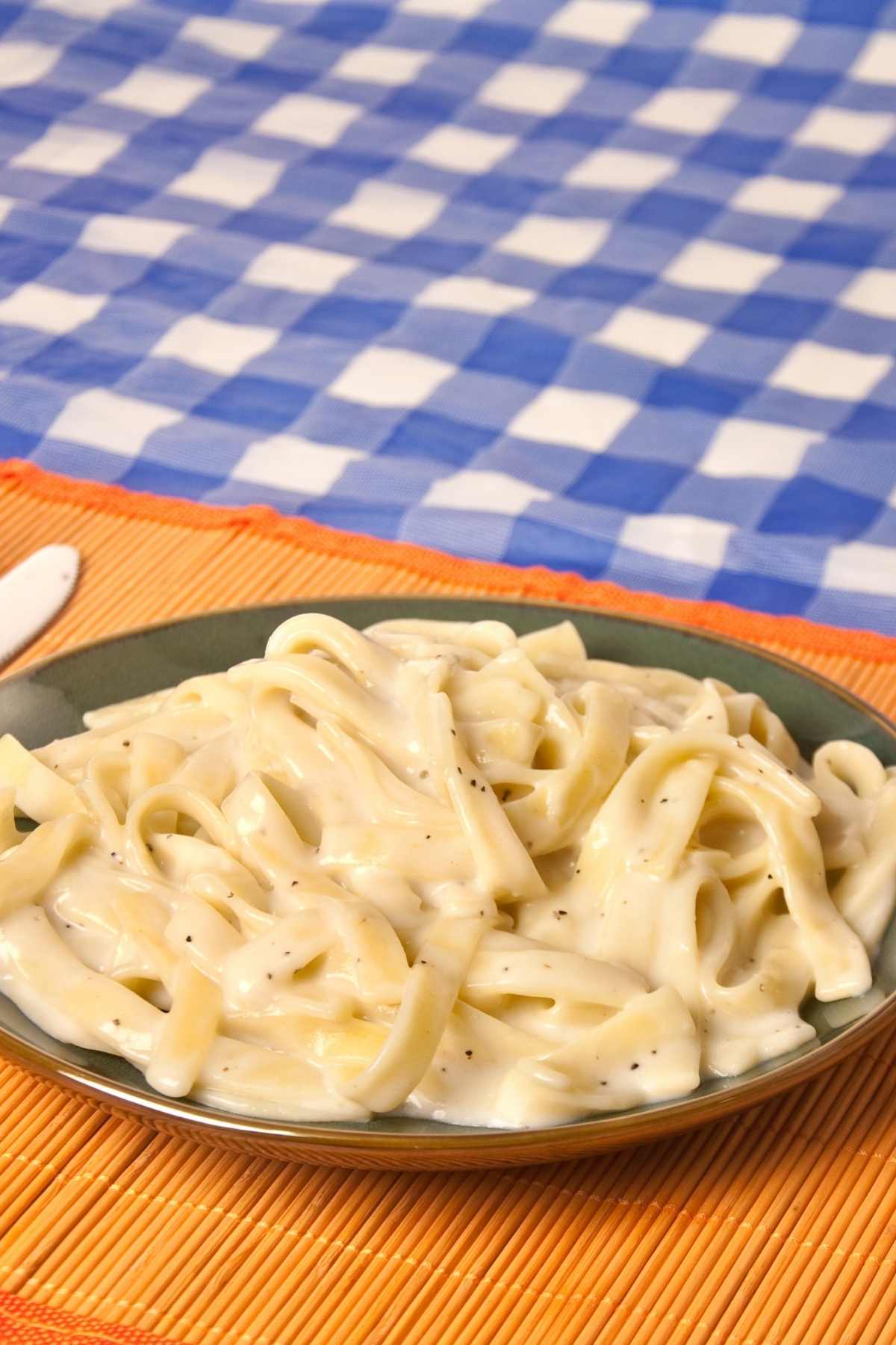 Pasta served with a heavy cream sauce is a favorite with kids and adults. This recipe for heavy cream pasta sauce is one of the best we’ve tasted.