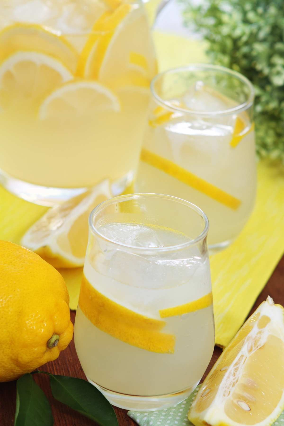 This tequila lemonade is perfect for summer get-togethers outside on the patio or in the garden. It’s zesty, refreshing and features the delicious and distinctive flavor of tequila.