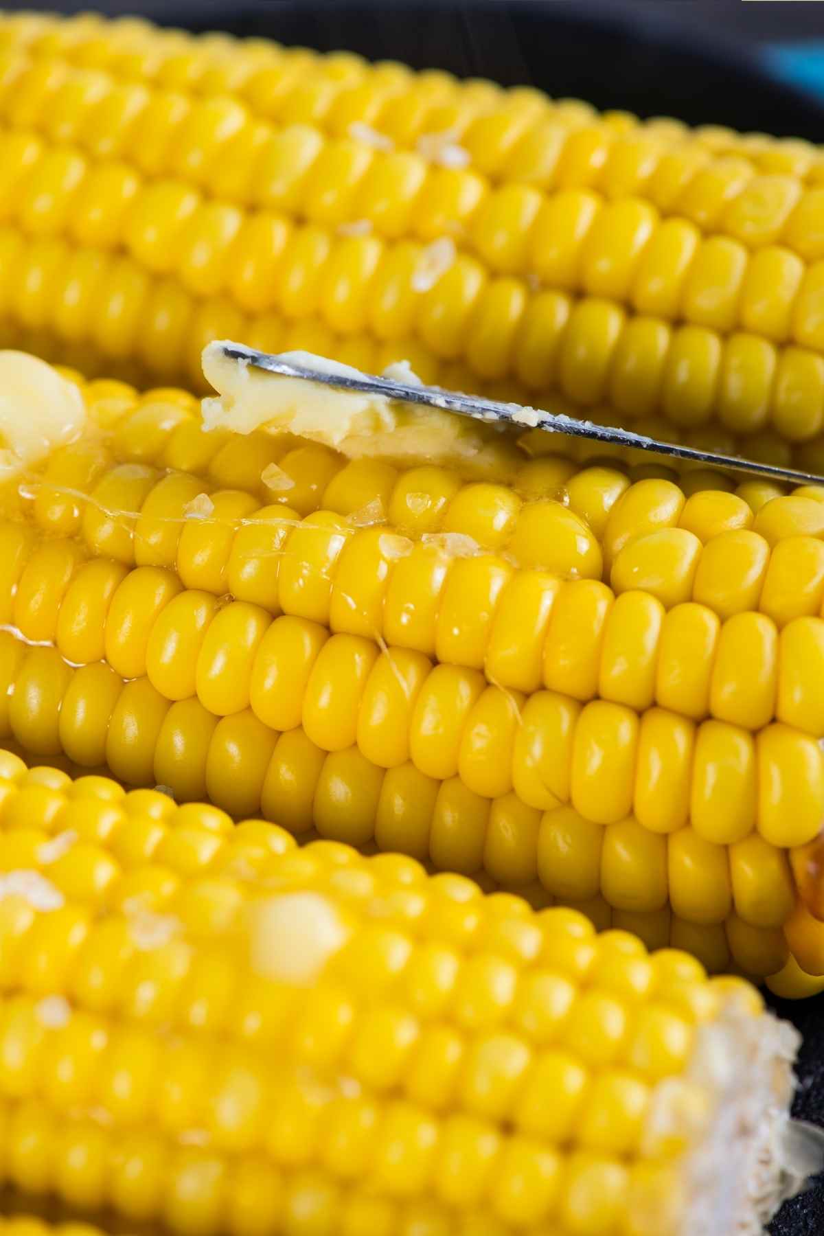 If corn on the cob is a family favorite in your household, give this delicious recipe for Corn On The Cob With Milk a try! Boiling the corn in milk enhances the sweet flavor of the corn.