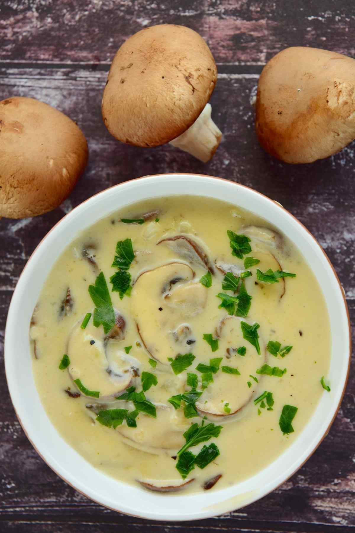 This Mushroom Cream Sauce is so versatile! It’s made using simple ingredients you likely have on hand and has a rich, creamy, and savory flavor.