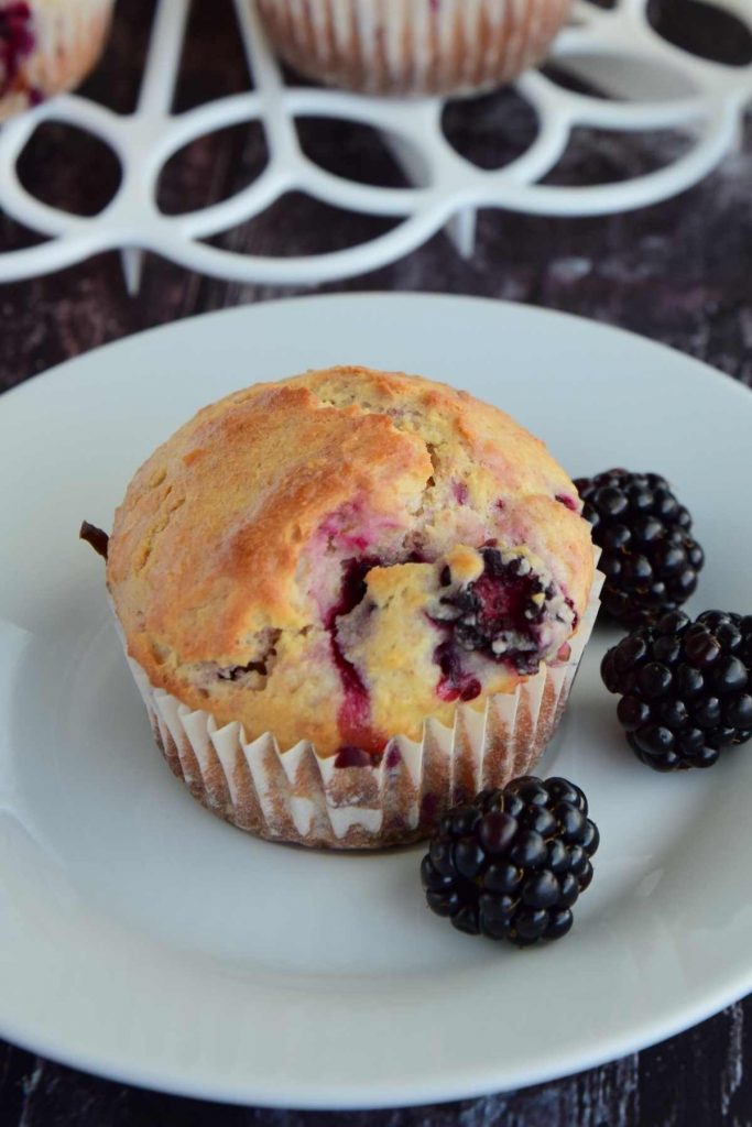 Blackberry Muffin