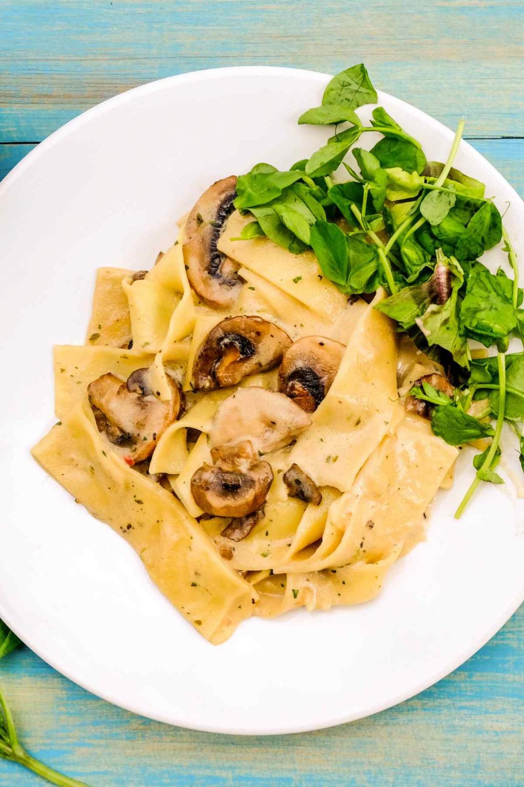 Best Pappardelle Pasta Recipes IzzyCooking